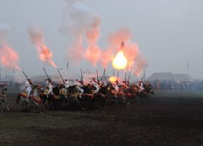 مهرجان زناتة للفروسية بسيدي موسى المجدوب يضرب موعدا جديدا بعد طي صفحة مواسم الانتخابات