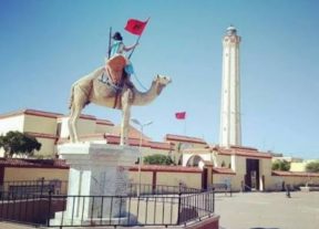 بوجدور تحتفل بالذكرى الخمسين للمسيرة الخضراء… احتفالات وطنية وروح الانتماء تتجدد