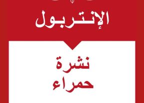 توقيف فرنسي من أصل جزائري مبحوث عنه دوليا بمطار محمد الخامس