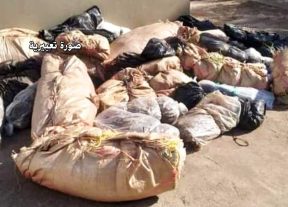 إنـفـراد:كمين للدرك بالشلالات يُفشل تسليم شحنة مخدرات ضخمة ويفر المزود