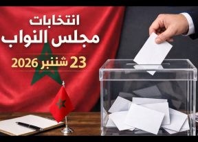 الانتخابات التشريعية 2026.. التصويت مسؤولية وطنية واختيار يصنع ملامح المرحلة المقبلة